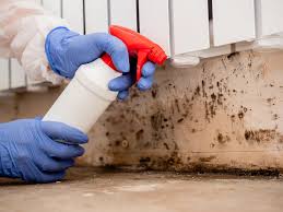 Best Biohazard Mold Removal  in Farley, IA